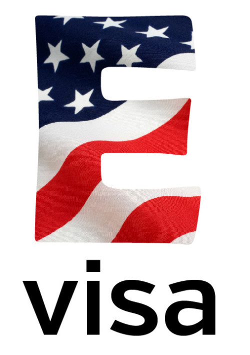 e-visa